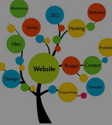 >Digital Web Solutions
